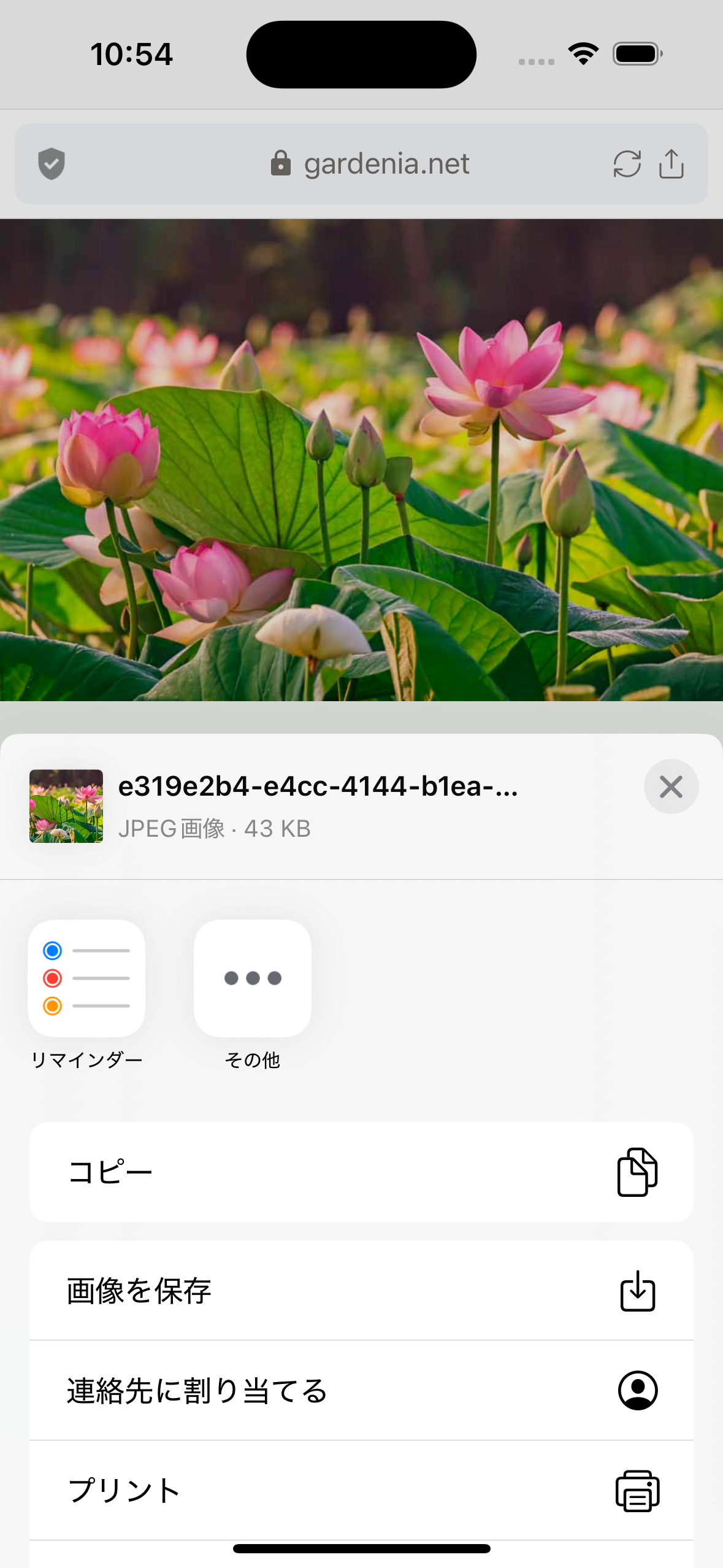 Simulator Screenshot - iPhone 15 - 2025-09-10 at 10.54.24.png